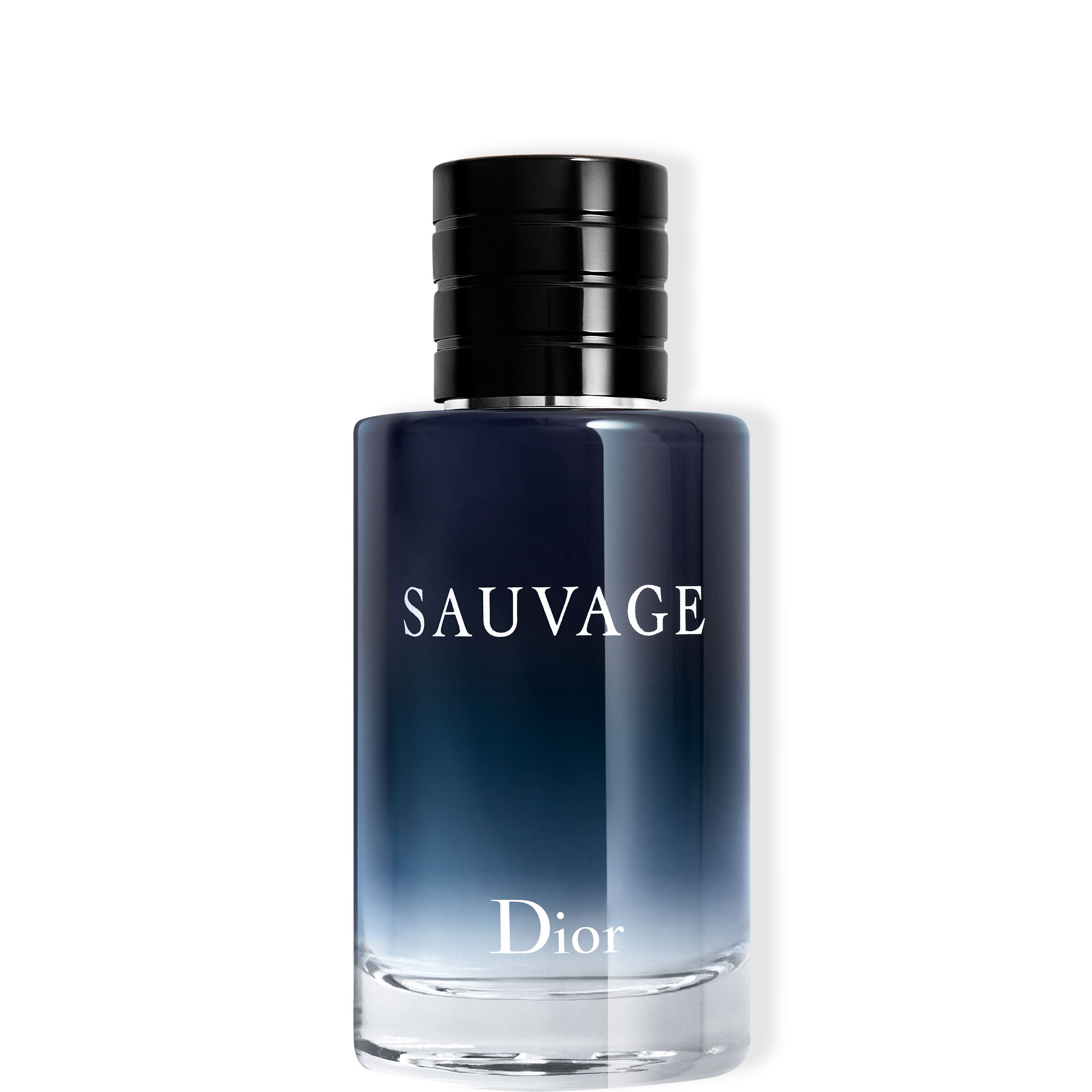 DIOR SAUVAGE EAU DE TOILETTE | 100ml φωτογραφία